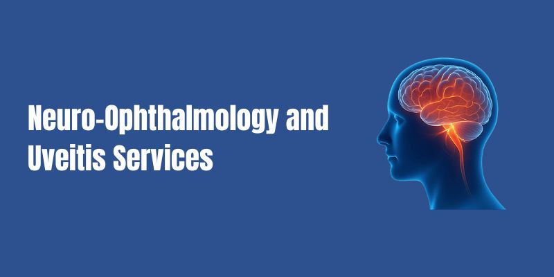Neuro-Ophthalmology and Uveitis Services